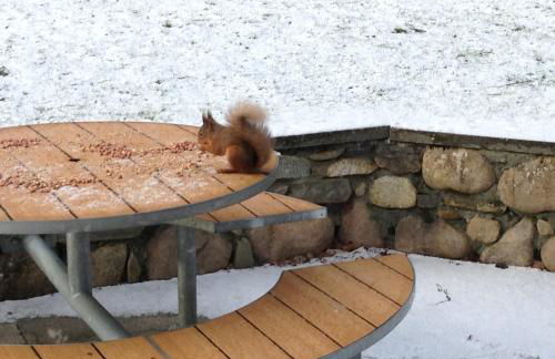 Coylumbridge Cottage - Foto 49