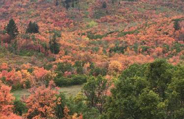 Midway Mountain Cabin Near Park City 7 bdrm 4ba - Foto 47