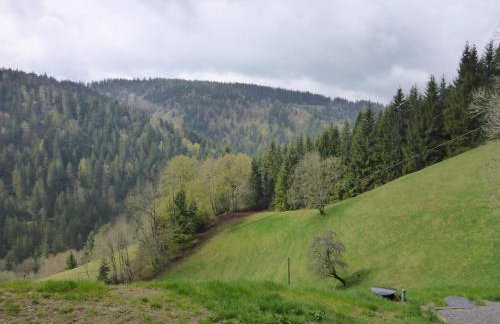 Fewo Kaspershäusle: Alleinlage mitten im Wald - Foto 13