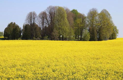 Ferienhaus "Ullersdorfer Teiche" - Foto 20