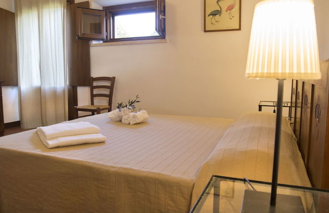 Poggio Agli Ulivi Agriturismo - Foto 10