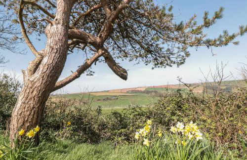 201 Norton Park - Foto 13