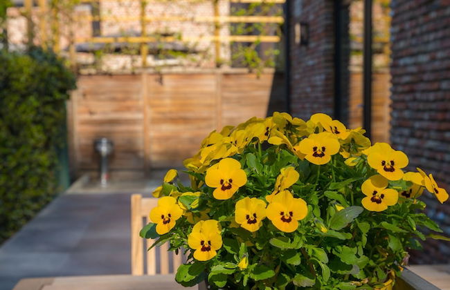 Vakantiewoning De Gulden Sleutels - Photo 23