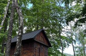 Forest Inn Berest - Foto 6