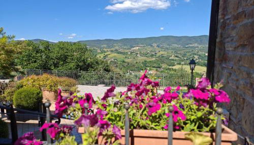 la casa della nonna - Foto 5