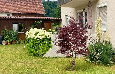 Ferienwohnung Schmid Lautrach im Illerwinkel - Foto 21