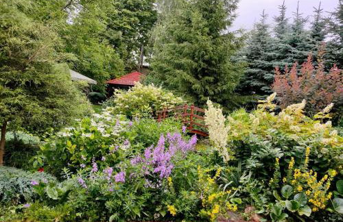 Agroturystyka JAGODA - Foto 18