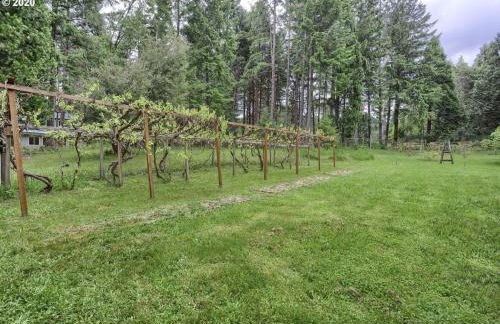 Orchard House! Recharge at Peaceful Nature Escape - Foto 30