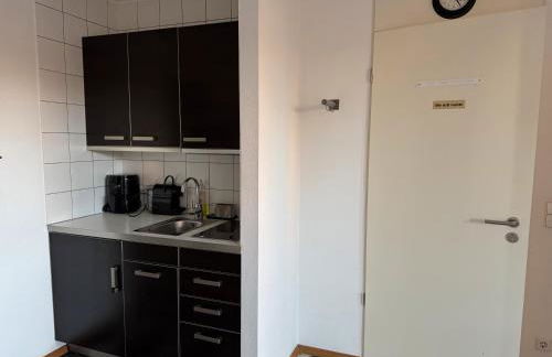 Terrassenwohnung mit Donaublick 4 - Foto 6