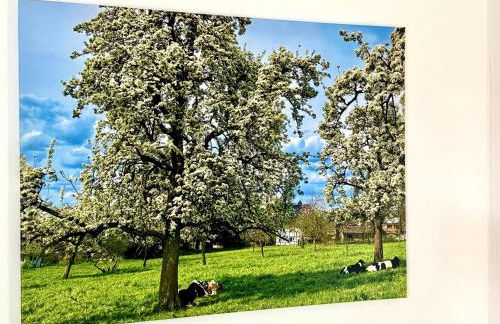 Traumferienwohnung zwischen Köln und Düsseldorf - Foto 13