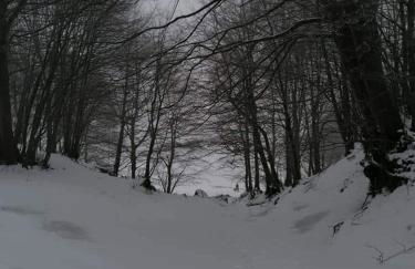 Casa vacanza zia Ersilia - Foto 50