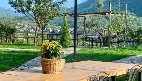 Agriturismo La Terrazza su Farfa - Foto 4, Garden