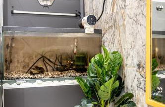 ArtistMemory Appartement - Foto 54