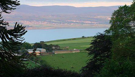 Pine Lodge - Uk7049 - Photo 4