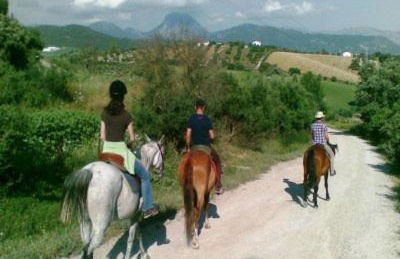 Holidayhome Villamartin Lomas del Golf - Foto 50