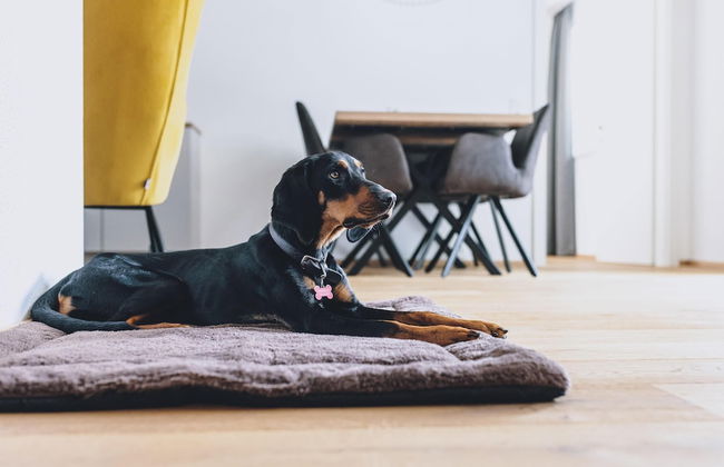 M1 - Mountain Living - Foto 74