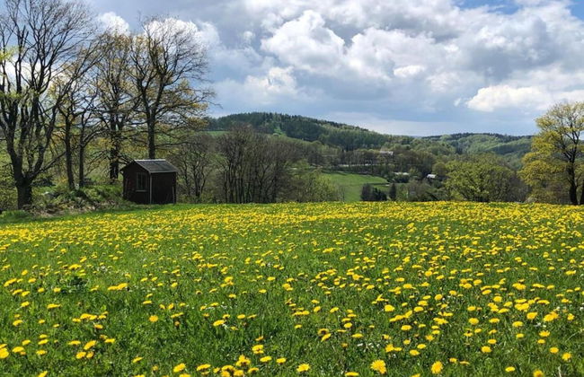 Classy Holiday Home in Deutschneudorf near Glockenwanderweg - Foto 34