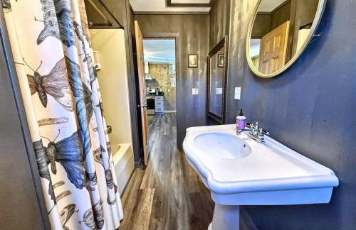 The Spotted Owl - Foto 13