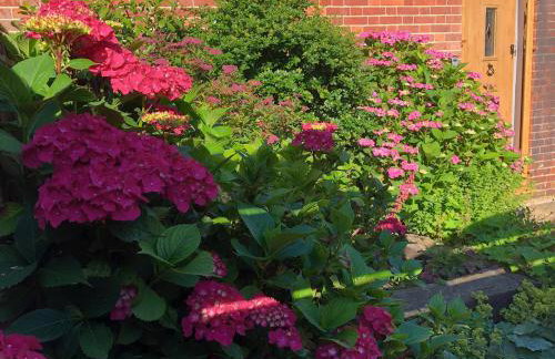 Squirrel Barn - Foto 20