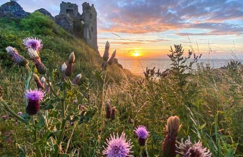 Aird Cottage - Foto 18