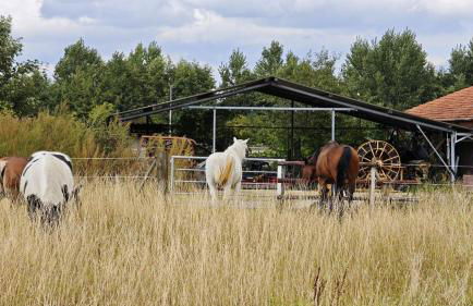 La Hasienda - Foto 27