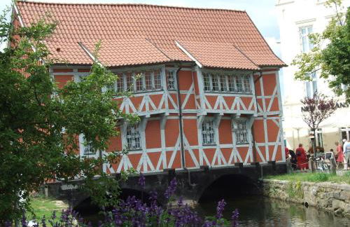 Birkenhof an der Ostsee - Foto 30