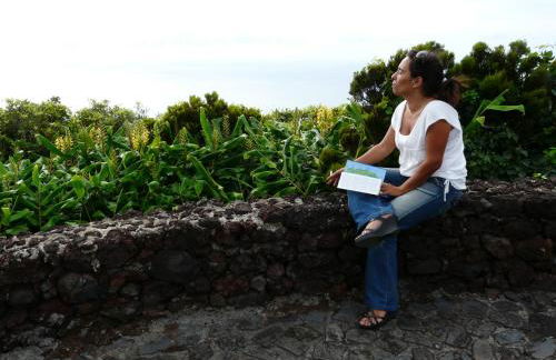 Fajazinha Cottage - Foto 54