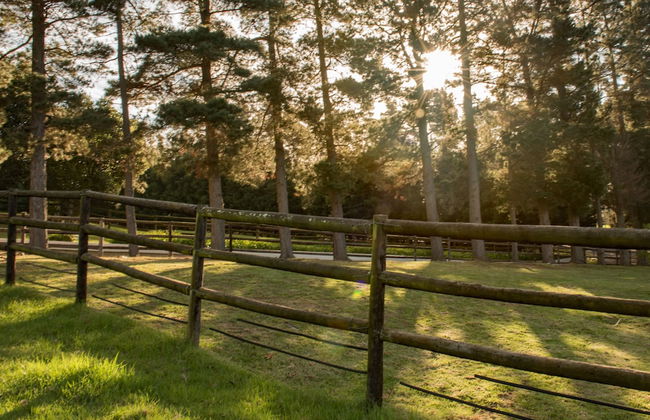 High Season Farm - Photo 6