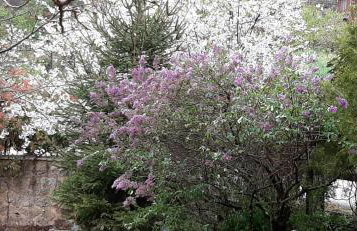 Εν Αρχή - En Arhi - Photo 47