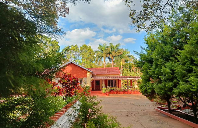 Niraamaya Private Home Stay Chikmagalur - Foto 48