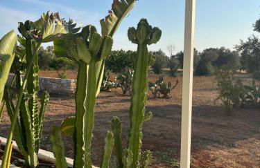 Villa Casa Bianca di Porto Selvaggio - Foto 13