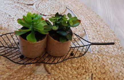 " LA BIENVENUE " - Foto 20