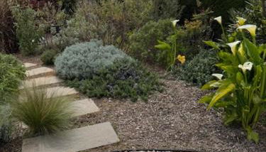 DOMAINE LOU BEL AZUR - Sérénité - Foto 3, Garden