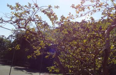 Casa Estrela do Mar - Foto 27