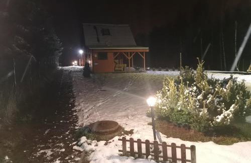 Domki Borowiackie nad brzegiem jeziora - Foto 74