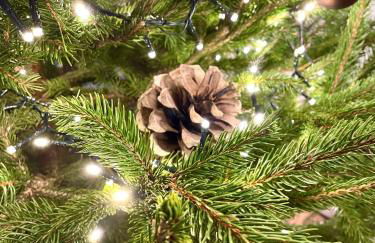 Longère 12 couchages Ploubalay - Foto 63