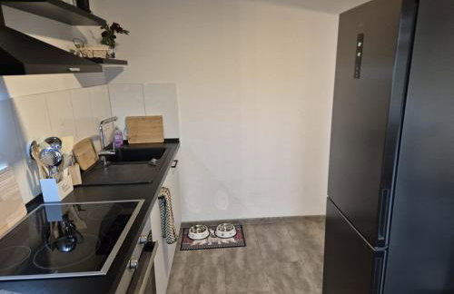 Neu 4 Zi Kü Bad Coll-mar - Foto 15