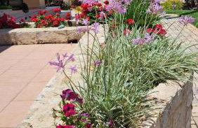 Gea Maleme - Foto 64