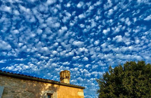 Lovrini Dvori - Photo 12