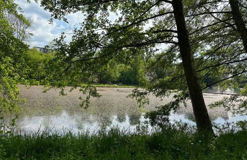 Aminas Ferienwohnung Bad Gandersheim 30/2 - Foto 20