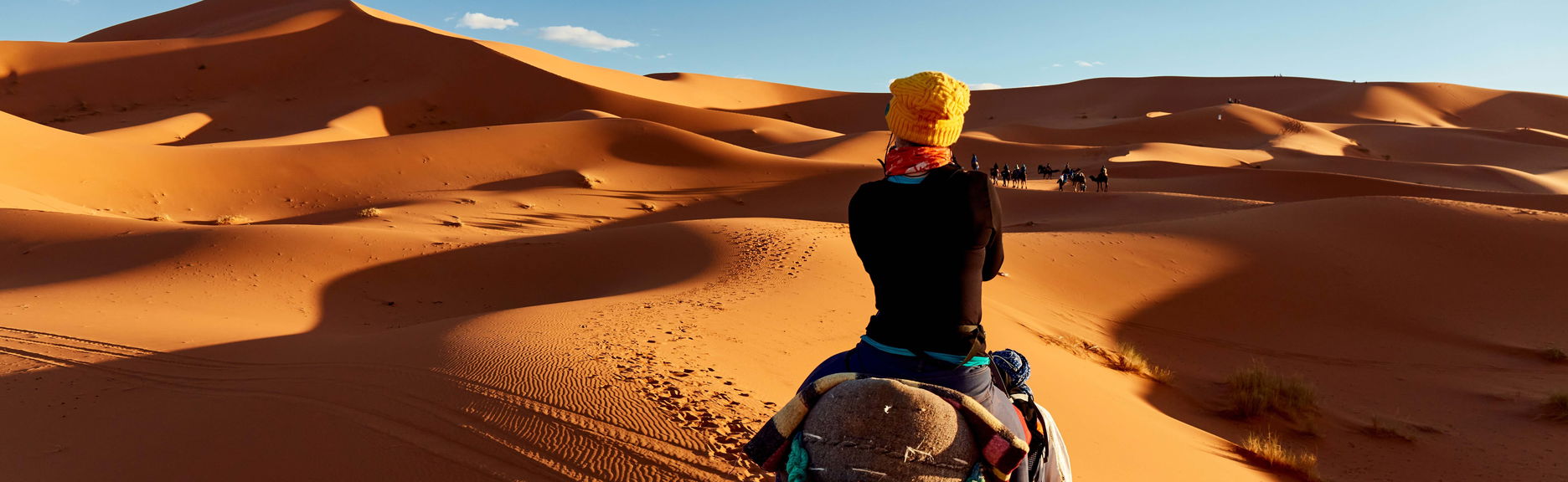 Overnight Desert Camel Trek