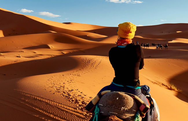 Balade à dos de chameau et nuit dans le désert - Photo 3