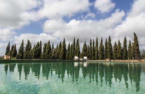 Son Bernadinet - Foto 32