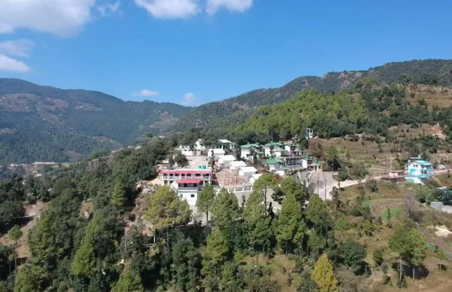 D Jungle Dabas Cottages - Foto 18