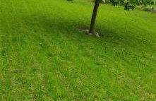 Domek ZOZO nad jeziorem w Okuniowcu - Foto 16