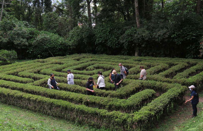 Excursão ao Jardim Botânico do Quindío - Photo 4
