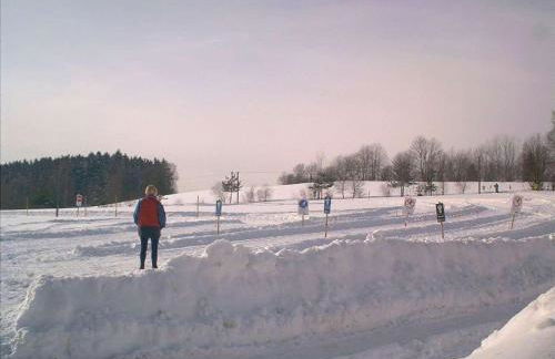 Holiday Home Hohenbogenwinkel by Interhome - Foto 12