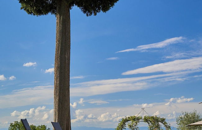 Fattoria la Loggia - Foto 33