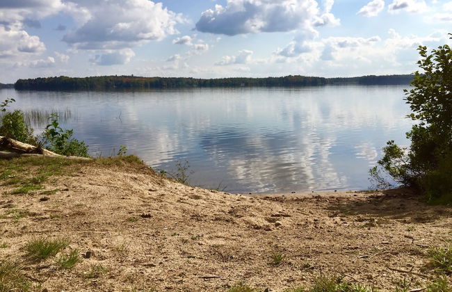 The Shores of Deer Lake - Foto 12