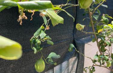 My Happy Place - Foto 5